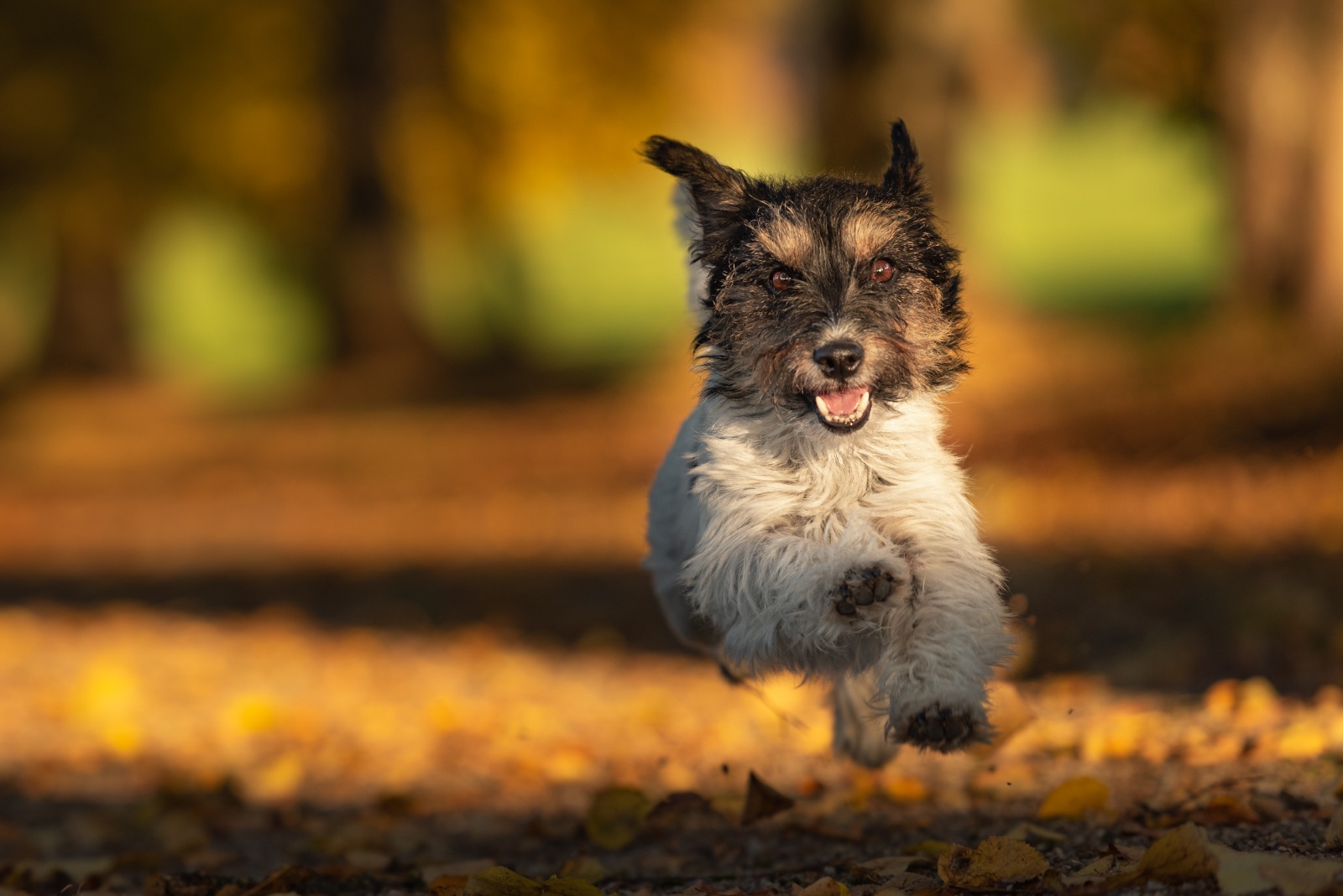 Platz 5 Karoline Thalhofer
